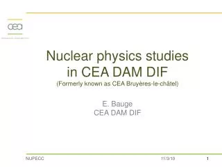 Nuclear physics in CEA DAM DIF in numbers