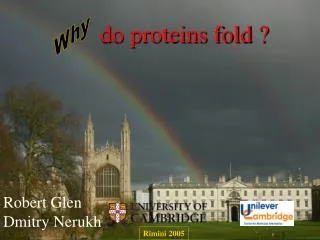 do proteins fold ?