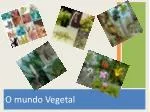 O mundo Vegetal - slide 1