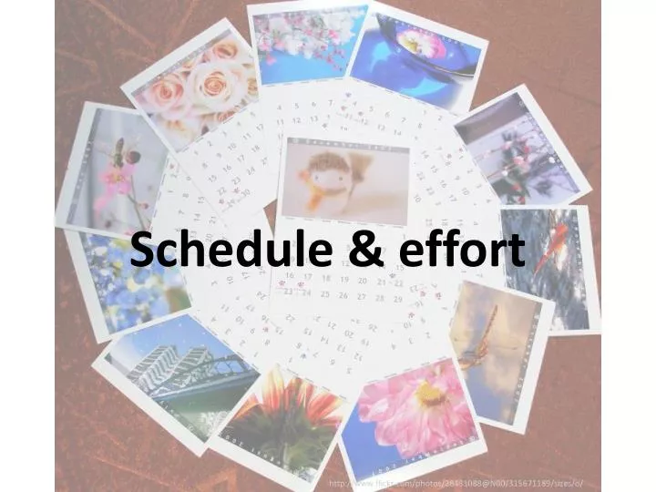 schedule effort