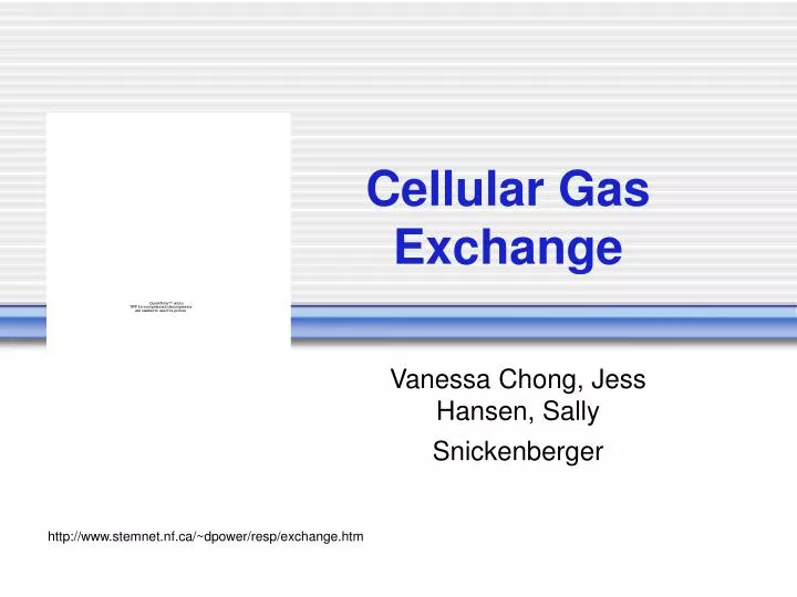 cellular gas exchange