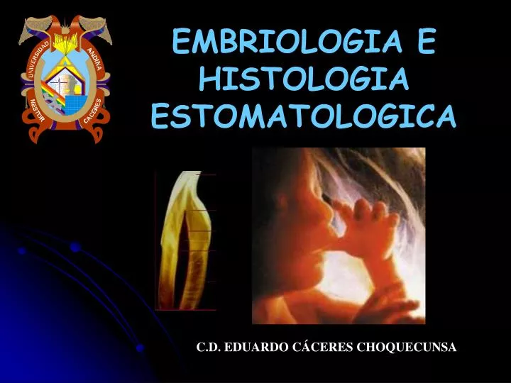 embriologia e histologia estomatologica