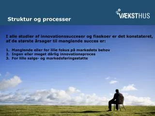 struktur og processer