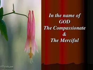 In the name of GOD The Compassionate &amp; The Merciful