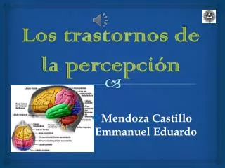 los trastornos de la percepci n