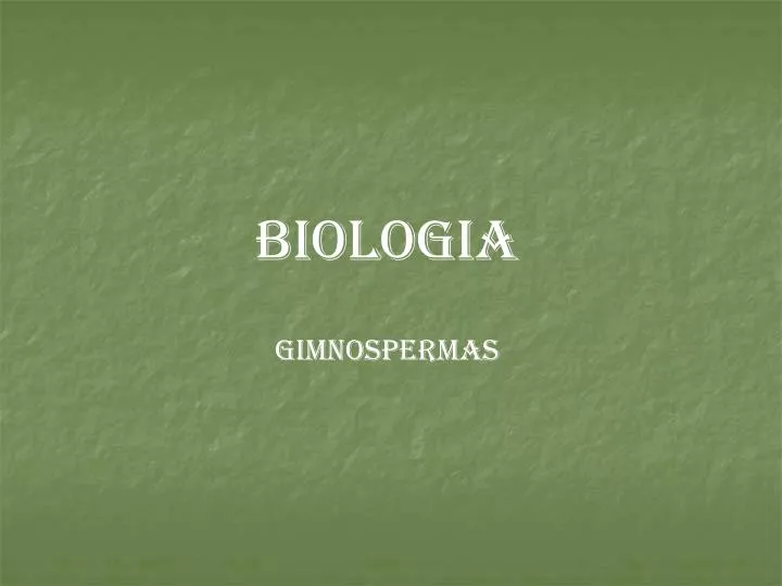 biologia gimnospermas
