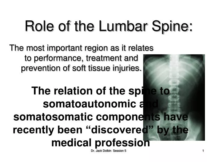 role of the lumbar spine