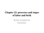 PPT - Stages Of Labor PowerPoint Presentation, Free Download - ID:217557