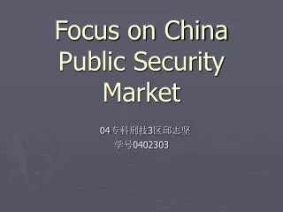 Focus on China Public Security Market