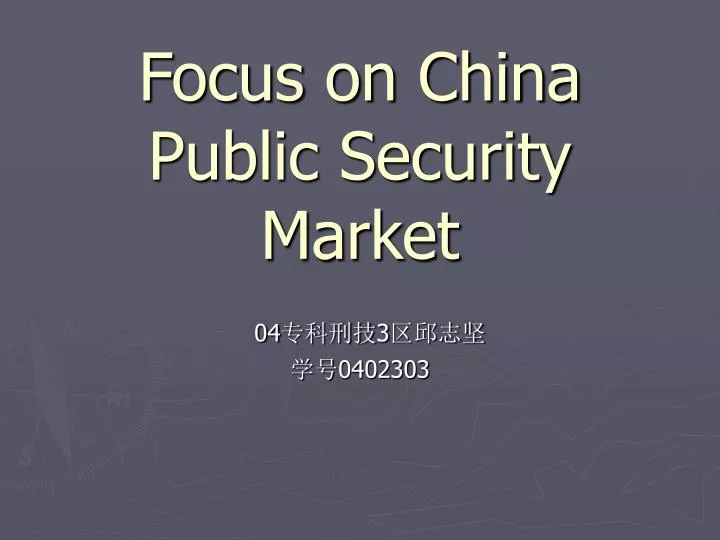 focus on china public security market