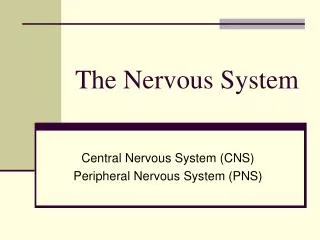 the nervous system