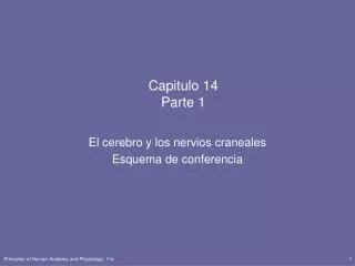 capitulo 14 parte 1