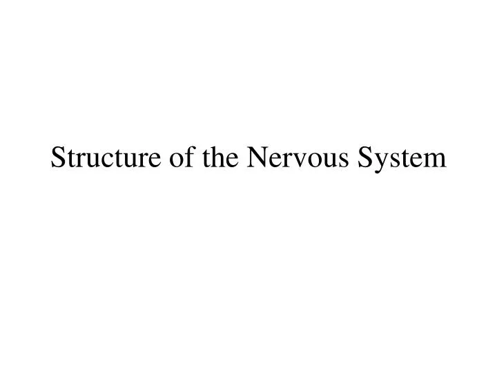 structure of the nervous system