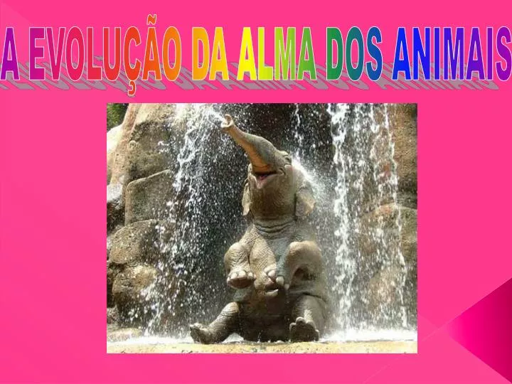 QUIZ DE CÊNCIAS - ADAPTAÇÕES DOS ANIMAIS