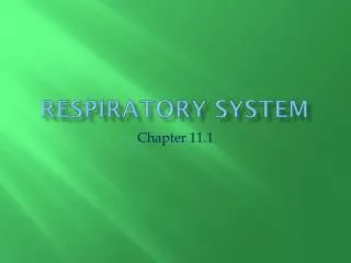 Respiratory System