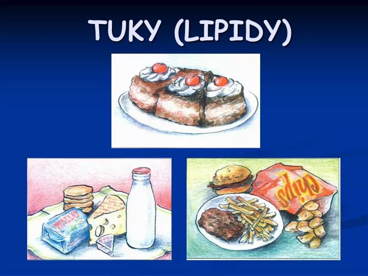 tuky lipidy
