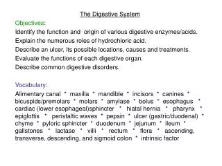 The Digestive System Objectives :