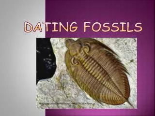 Dating Fossils