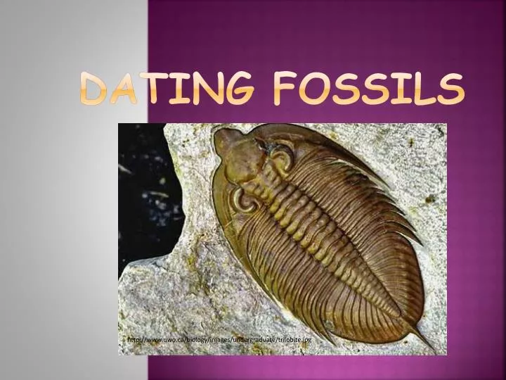 dating fossils