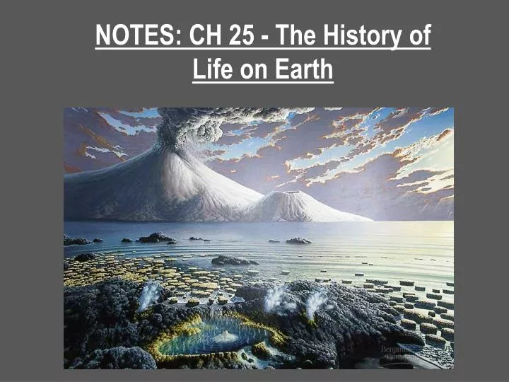 notes ch 25 the history of life on earth