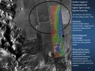 Holden target 5: Topographically higher light-toned, layered outcrop -26.70 North, 325.18 East