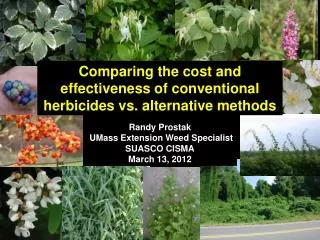 Comparing the cost and effectiveness of conventional herbicides vs. alternative methods