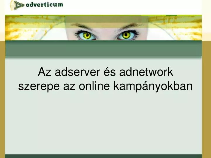 az adserver s adnetwork szerepe az online kamp nyokban