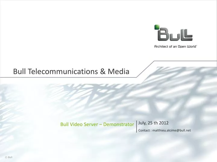 bull telecommunications media