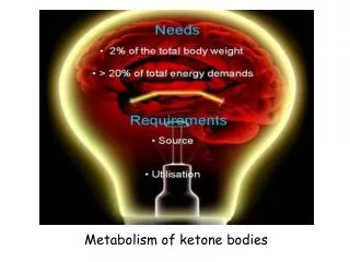 Metabolism of keton ? bodies