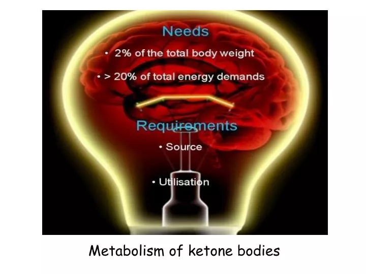 metabolism of keton bodies