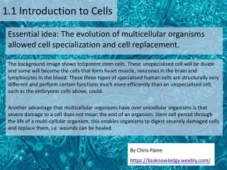 1.1 Introduction to Cells