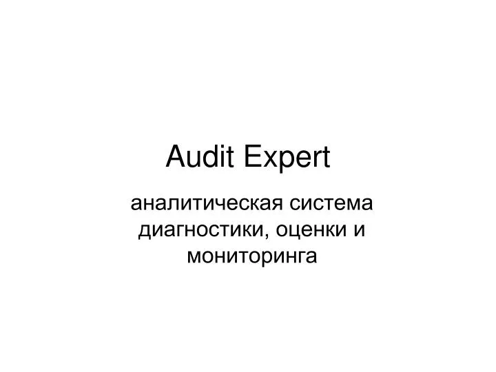audit expert