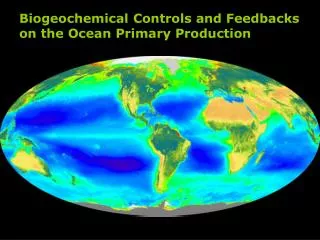 Biogeochemical Controls and Feedbacks on the Ocean Primary Production