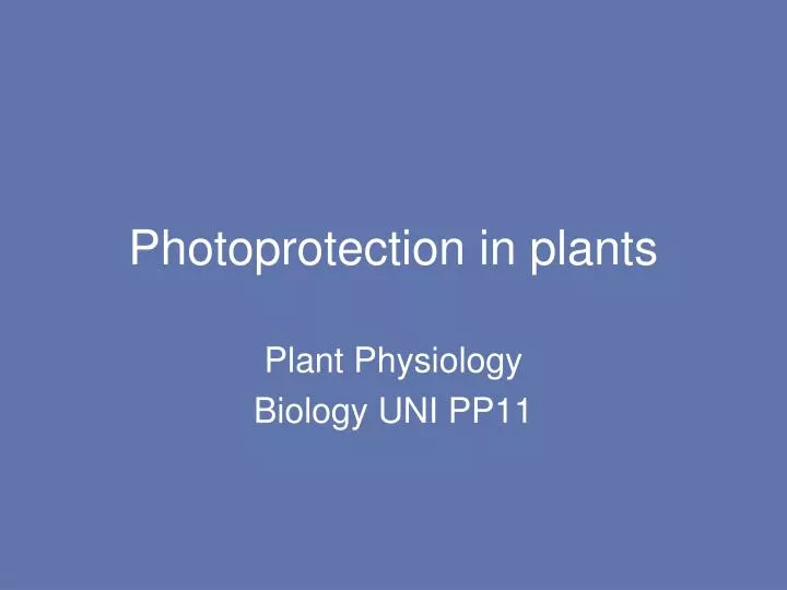 photoprotection in plants