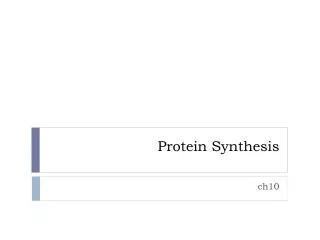 Protein Synthesis