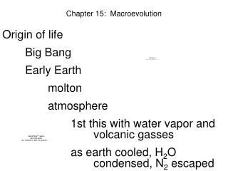 Chapter 15: Macroevolution
