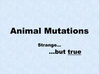 Animal Mutations