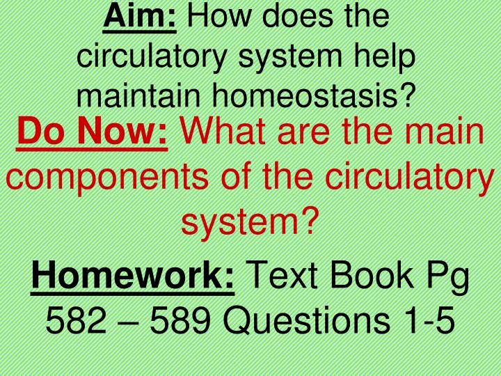 aim how does the circulatory system help maintain homeostasis
