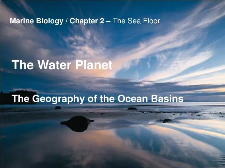 marine biology chapter 2 the sea floor