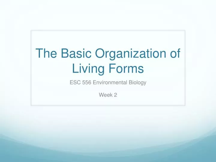 the basic organization of living forms