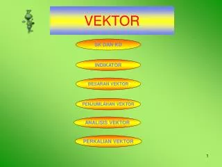 vektor