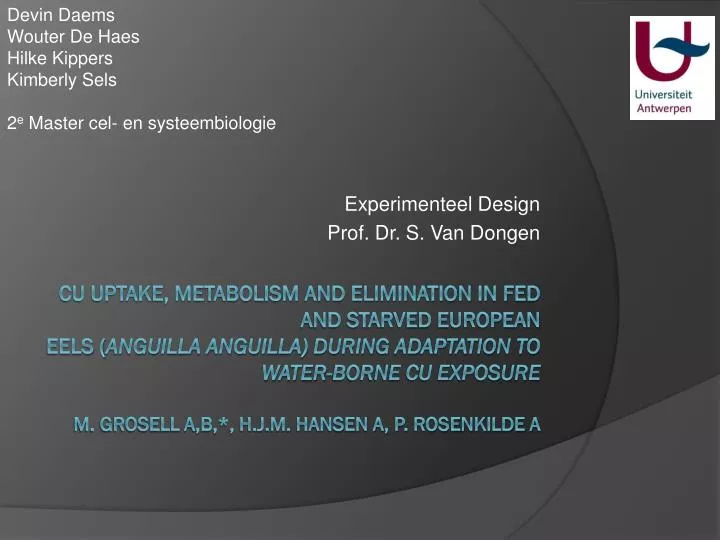 experimenteel design prof dr s van dongen