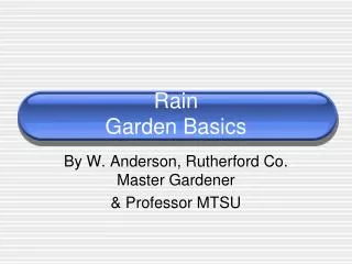 Rain Garden Basics