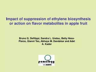 I mpact of suppression of ethylene biosynthesis or action on flavor metabolites in apple fruit