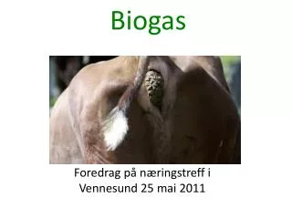 Biogas