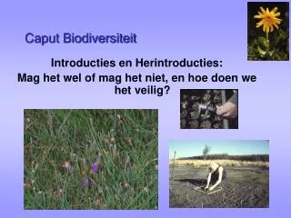 caput biodiversiteit