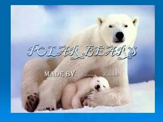 POLAR BEARS