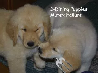 2-Dining Puppies Mutex Failure