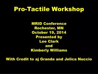 Pro-Tactile Workshop