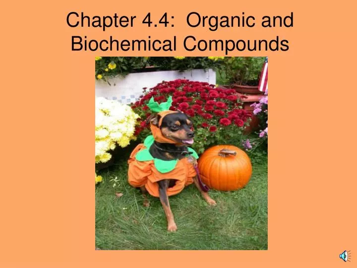 chapter 4 4 organic and biochemical compounds